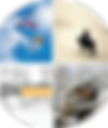 Snowboarder, horse rider, construction, hunting picture