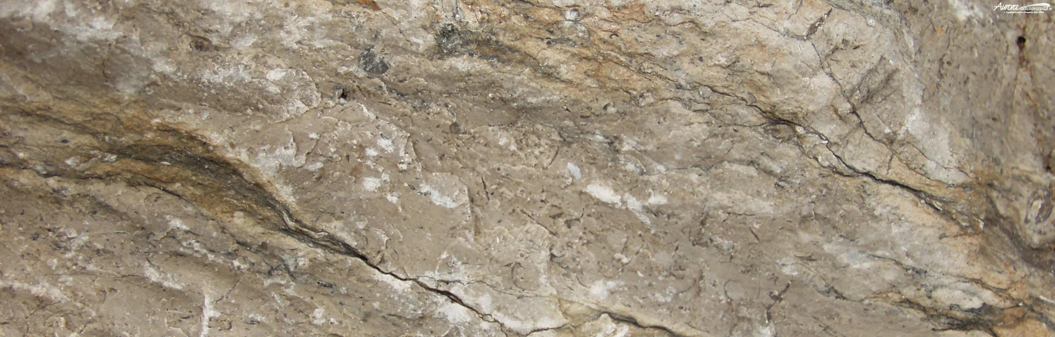 Stone5.webp
