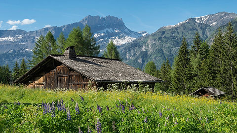 les-houches-6_202.jpg