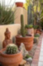 desert pots.jpg