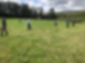 scythe group mowing on a course