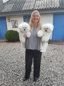 groomania förebild på väg och bila ner till Belgien