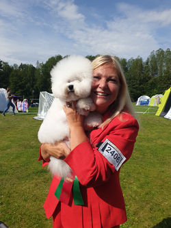 Avalon och jag