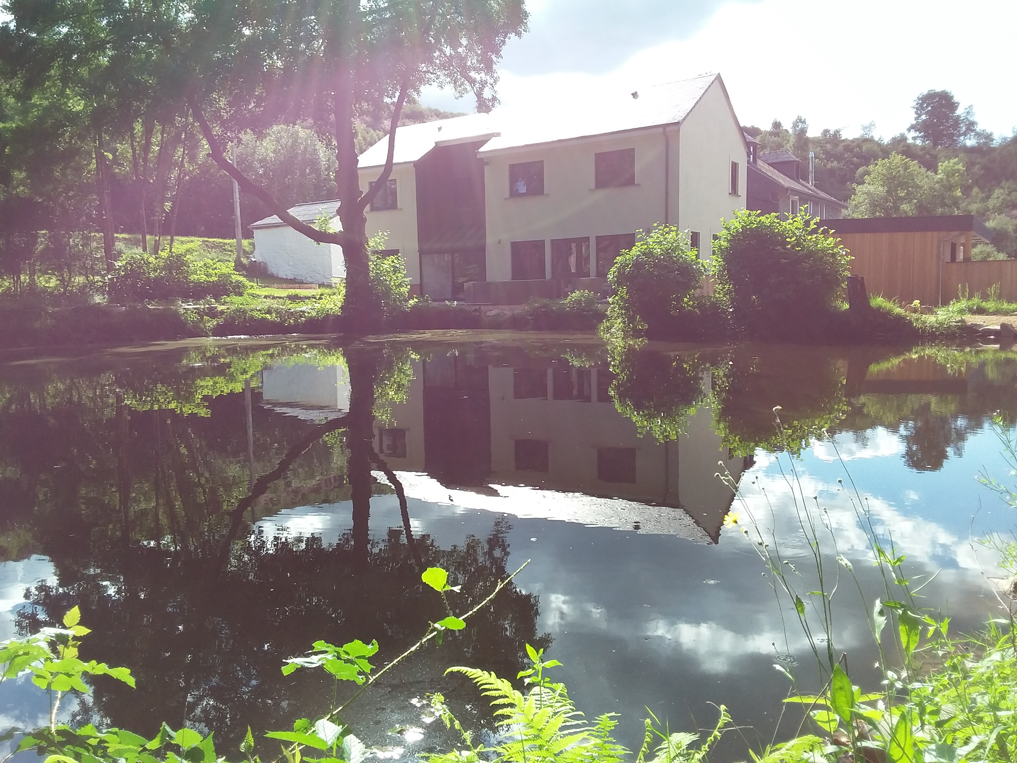 Vue arrière avec étang