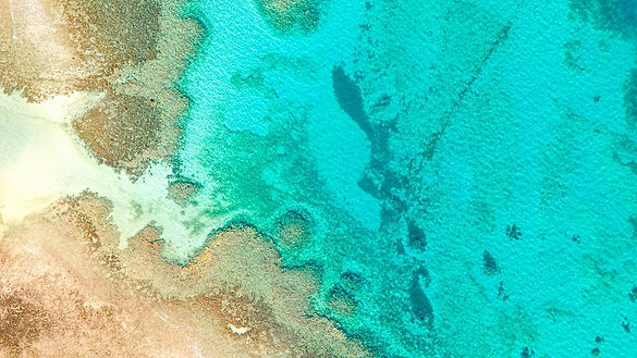 image_6483441 (Cia do Mar_Eugenio Lopes)