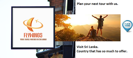 Visit Sri Lanka.png