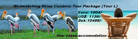 Birdwatching Tour(L Star Class) 6N-7D.jp