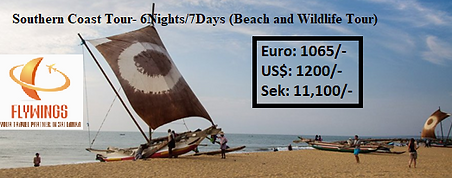 South Coast Tours.png