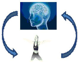 CNS-body relationship