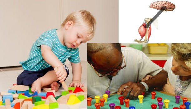 Learning and Adaptation.jpg