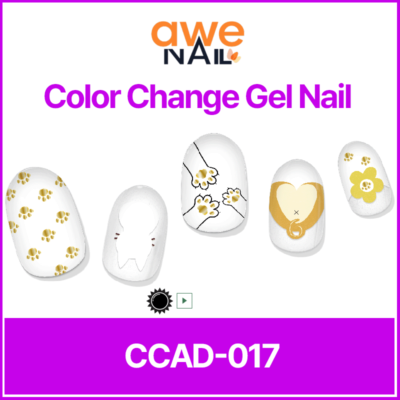 CC017-800GIF