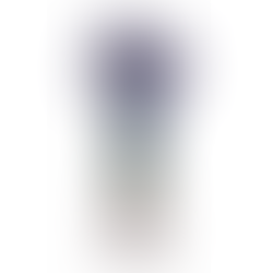 Victoria and Albert Museum