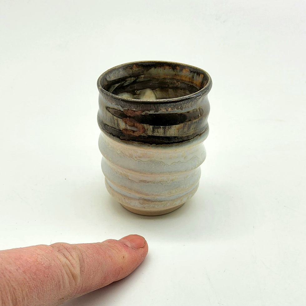 Thumbnail: Trilobite Fossil Small Cup