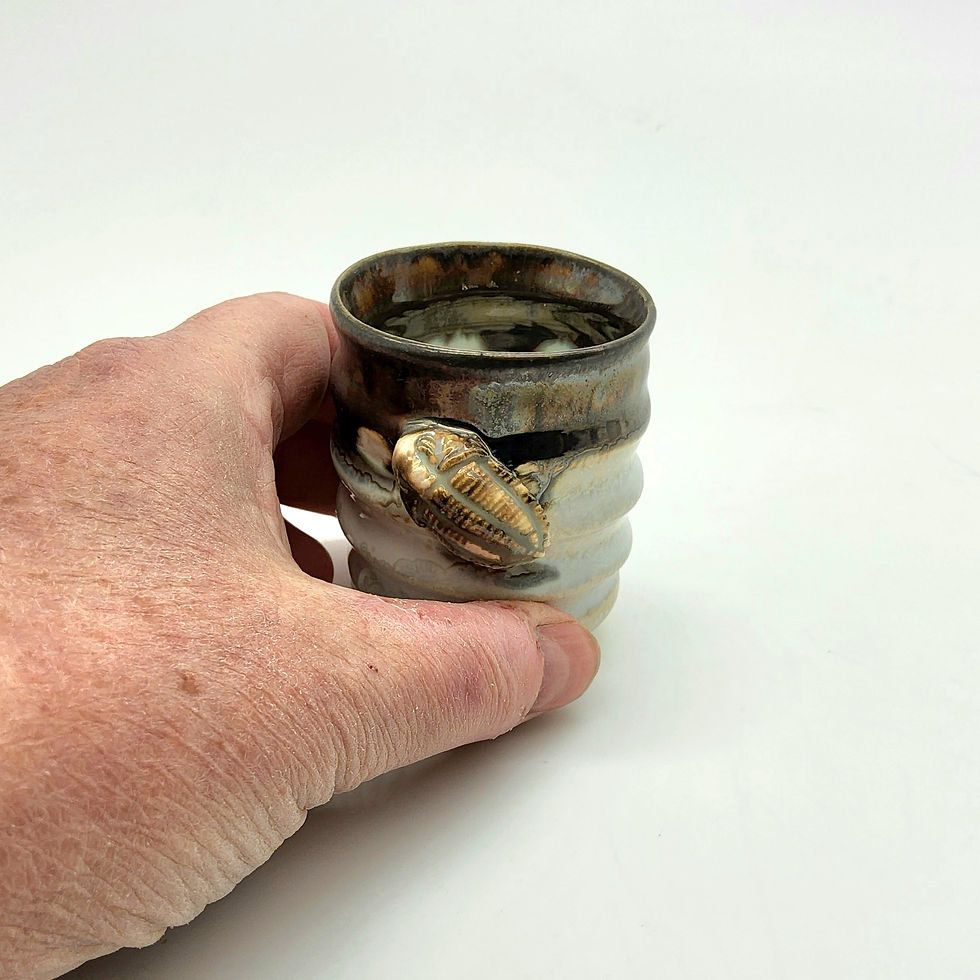 Thumbnail: Trilobite Fossil Small Cup
