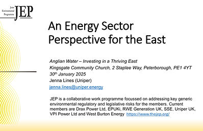An Energy Sector Perspective for the Eas