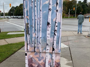 Blue Birches by Kris Hicks