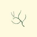 Services website Images (6).png