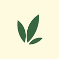Services website Images (5).png