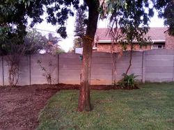LAWN INSTALLATION