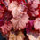 Thumbnail: Heuchera 'Georgia Peach' GEORGIA PEACH CORAL BELLS