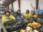 CREW HARVESTING EMPLOYEE GARDEN