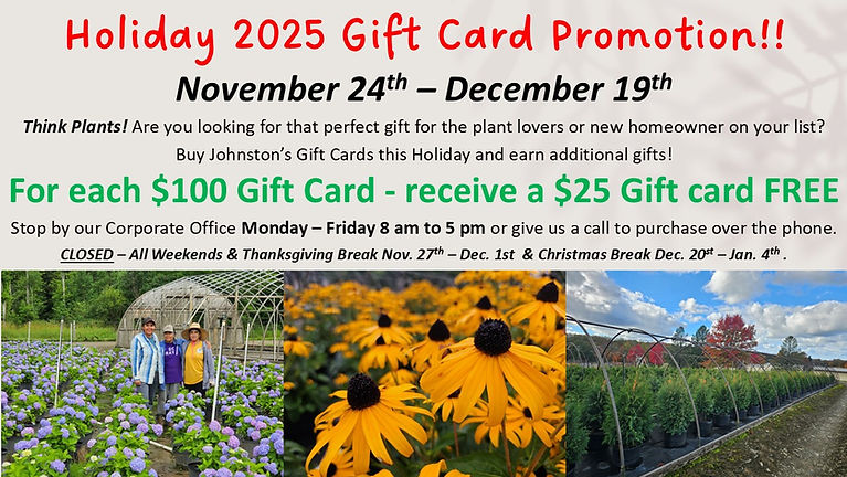 Holiday Gift Card Details Image 2025.jpg