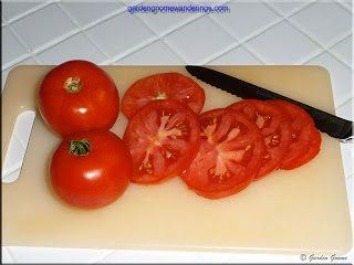 Tomato 'Heinz 1439 VFA' HEINZ 1439 VFA TOMATO