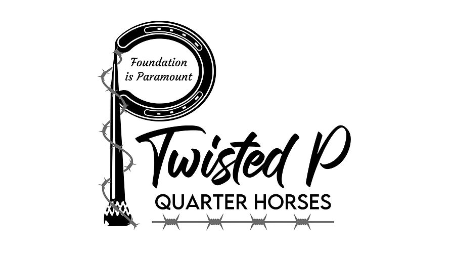Twisted P Quarter Horses Foundation Bloodlines North Carolina, USA