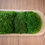 Thumbnail: Green moss in a natural wood bowl