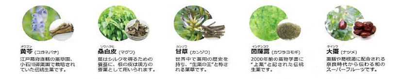 5植物.jpg