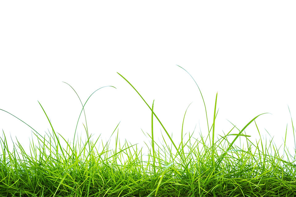 banner8.jpg