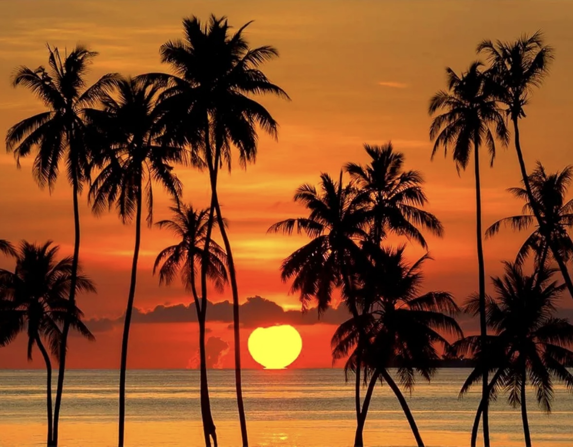 A calm and luxurious home interior setting