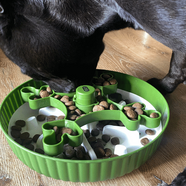 Pies jedzący z miski