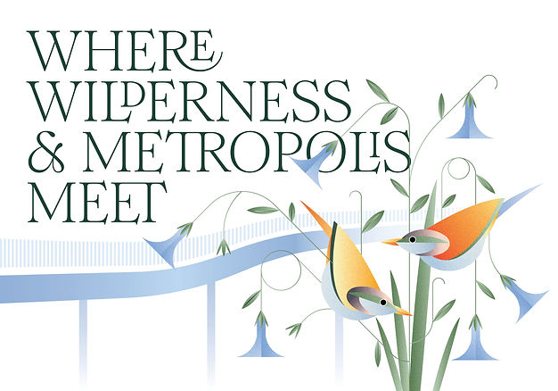 Section Spread 2_edited.jpg