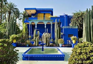 Koyu Kobalt Mavisinin Tonu Bu Bahçeden Geliyor