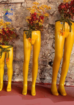 Jardin De Nini Nida Kireççi