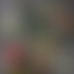 ÇİÇEKLER VE ANLAMLARI