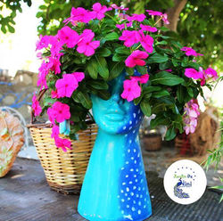 Jardin De Nini Nida Kireççi