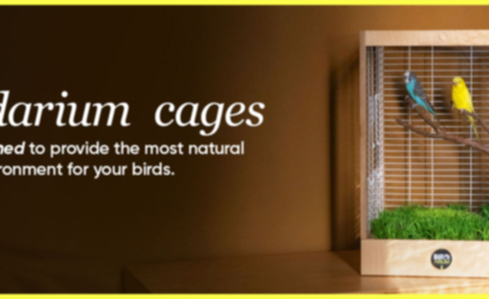 _Birdarium1464x600ENG_01.jpg