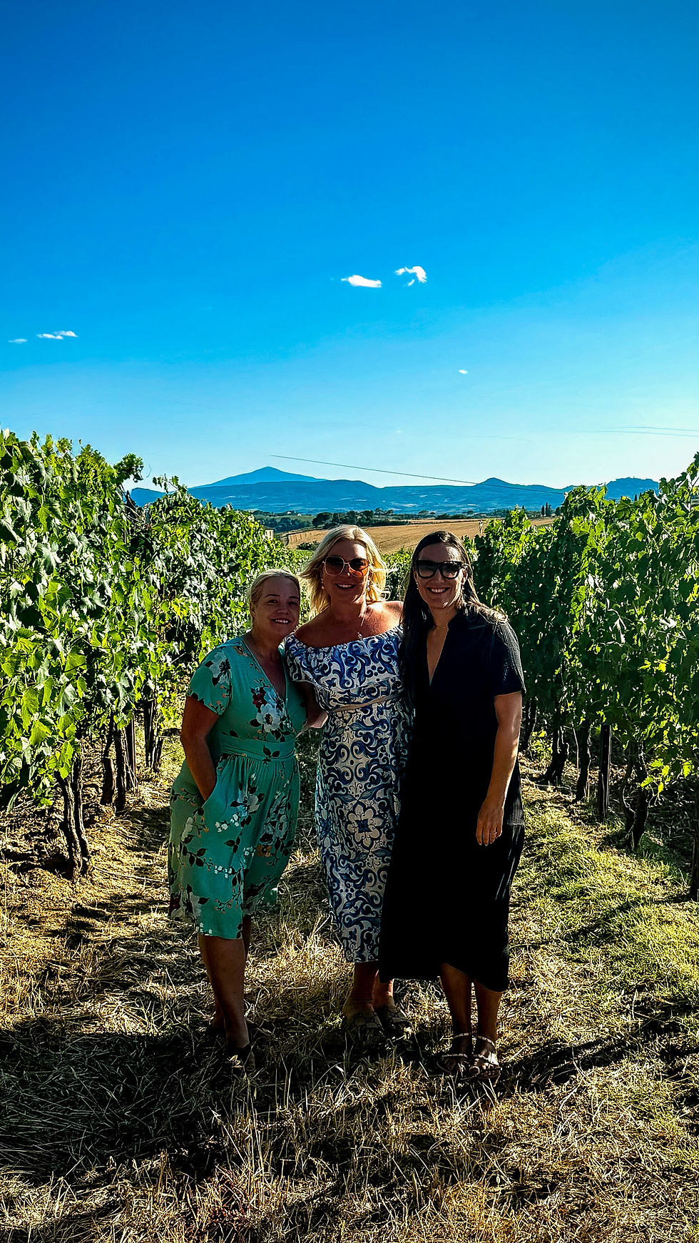 tuscany vineyard in summer