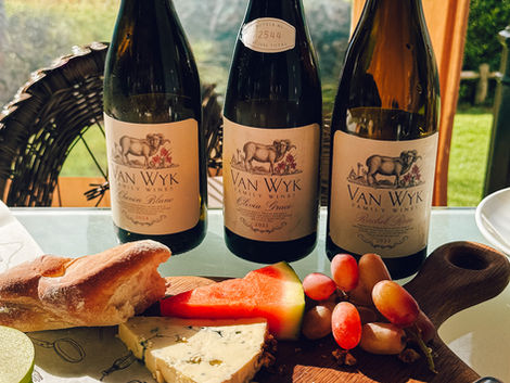 wine and charcuterie