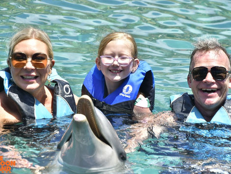 family vacation swimming with dolphins