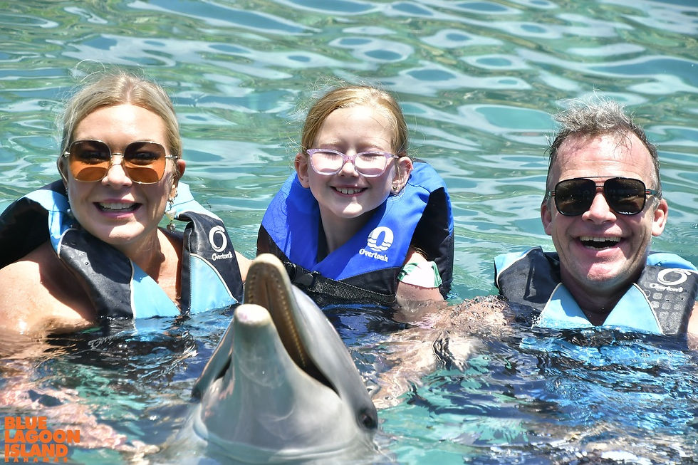 family vacation swimming with dophins
