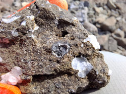 260160f7-3207-4285-beb9-1101bb50e8a8