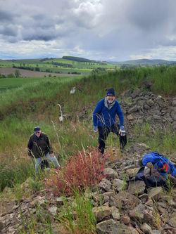 ca916556-6a12-4e6f-b798-6968293bc10f