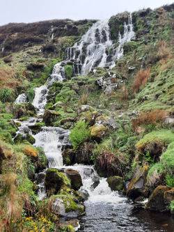 PHOTO-2024-05-21-08-42-42