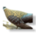 Thumbnail: Rare F.J. DeRobertis Miniature – Cock Pheasant No. 12 (1976)