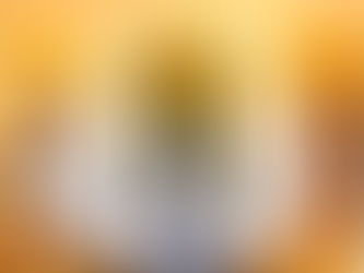 “Of Royal Matters” Picacho Hills Estate Sale