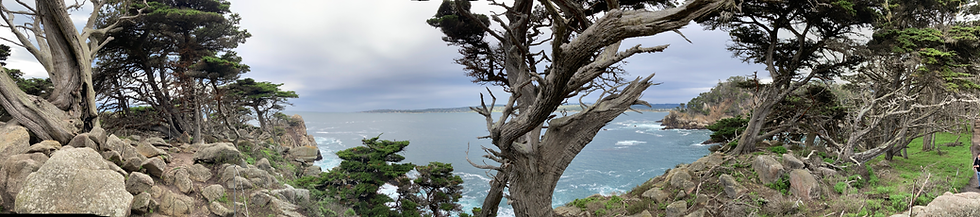 USA, California, Point Lobos State National Reserve