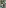 IMG-20180304-WA0001.jpg